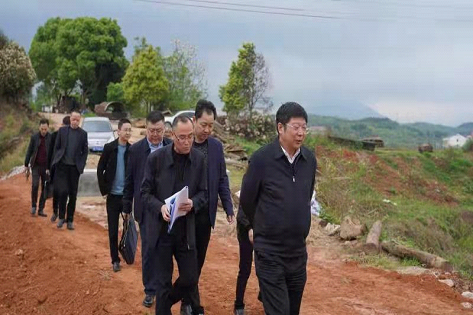衡山县县长蒋青现场督查突出生态环境问题整改情况