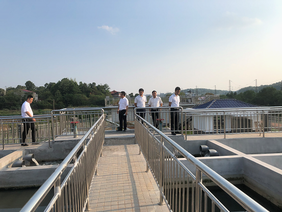 衡南县副县长蔡志刚深入向阳桥街道督导夏季攻势工作